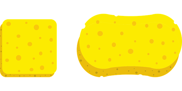 sponge-8407895_640 Sponges